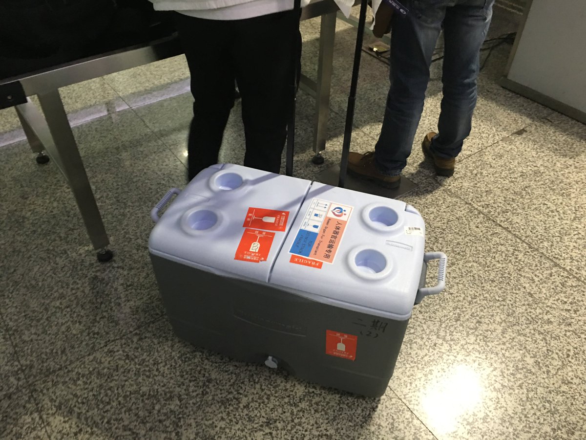 CGTNOfficial's tweet photo. Sichuan airport opens fast track for donated lungs in line with #greenpassage mechanism #LifevsTime https://t.co/xYctszcKed