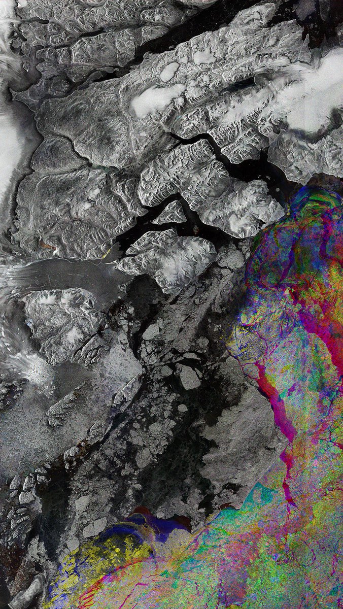 Topia_app tweet picture