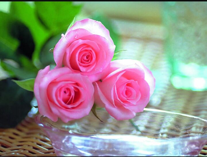 Saba (@sabazbad) on Twitter photo 