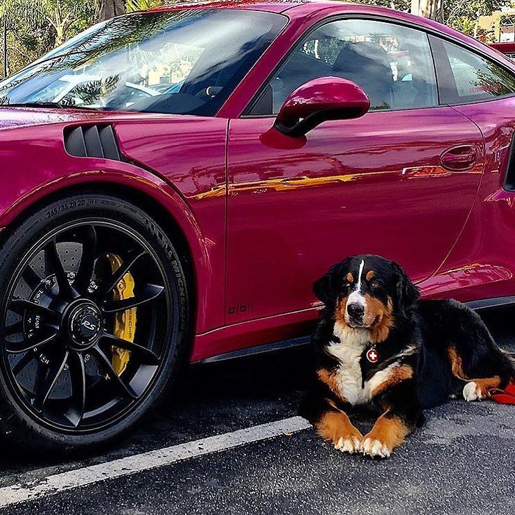 OnlyCarrera's tweet image. Picture by @flyinglracing