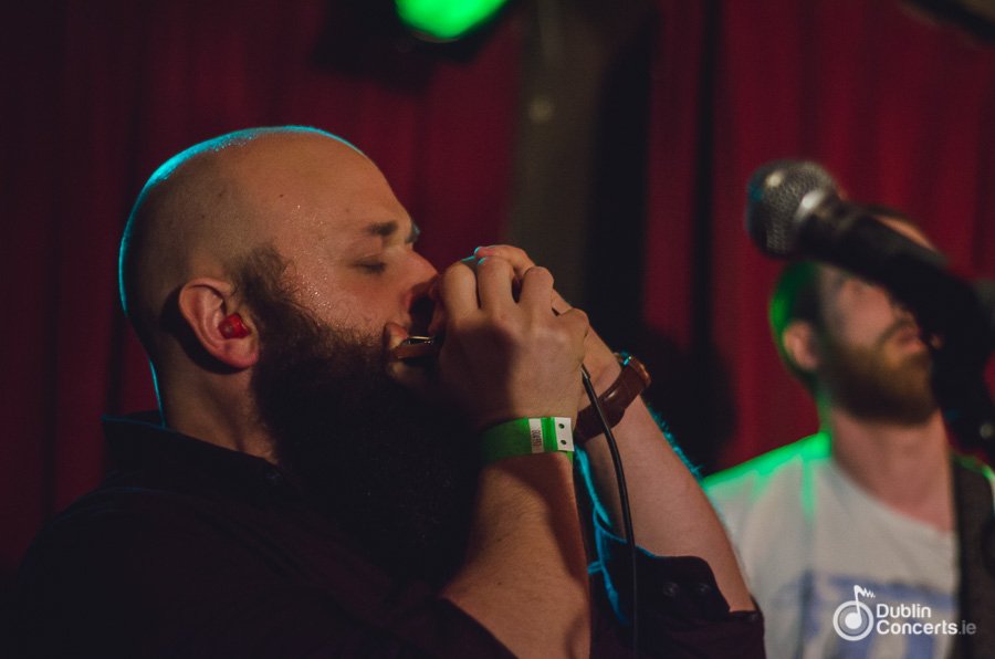 Dublin Concerts tweet media