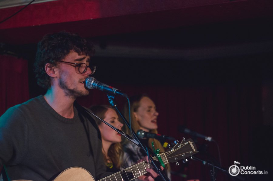 Dublin Concerts tweet media