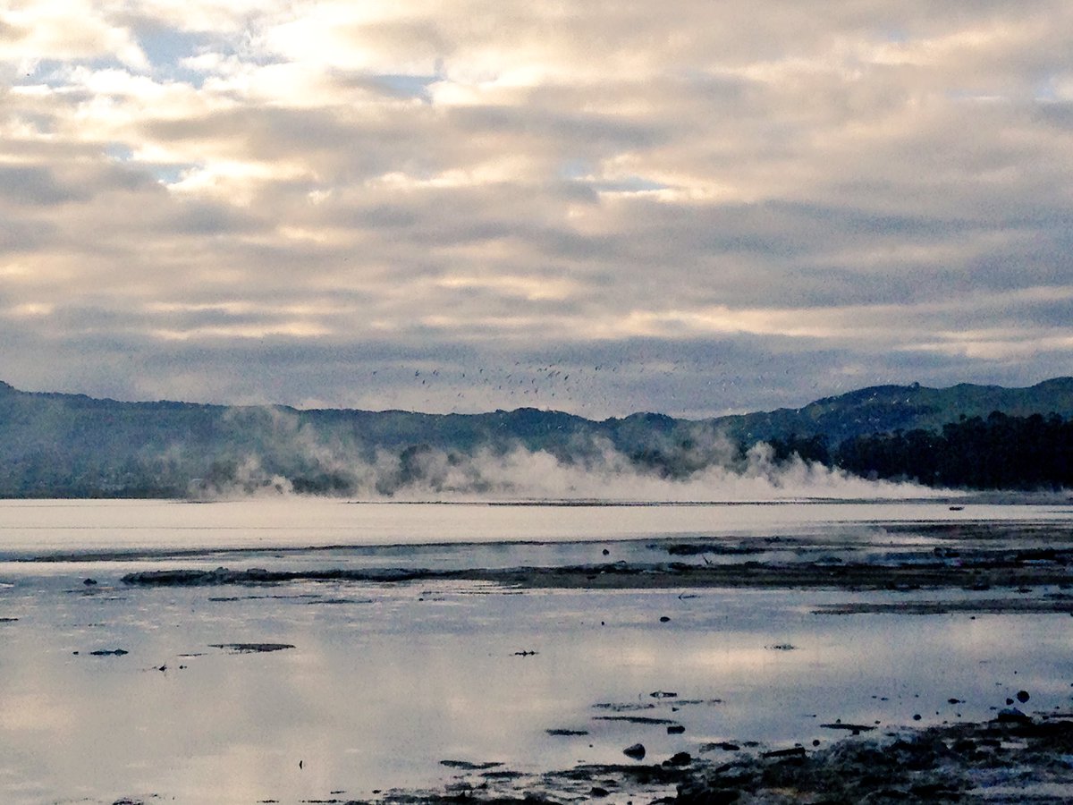 __sojourner__'s tweet photo. Fara Kanna = Go Explore
[New Zealand] https://t.co/uVkrzsykZk