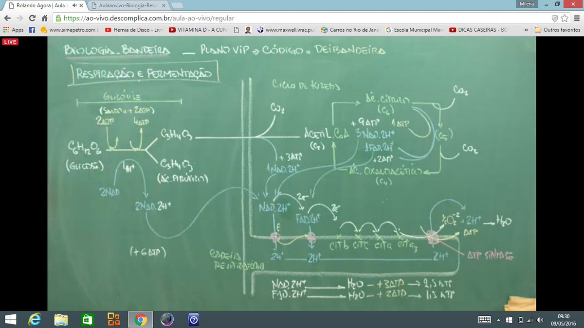 lecture notes on impedance spectroscopy