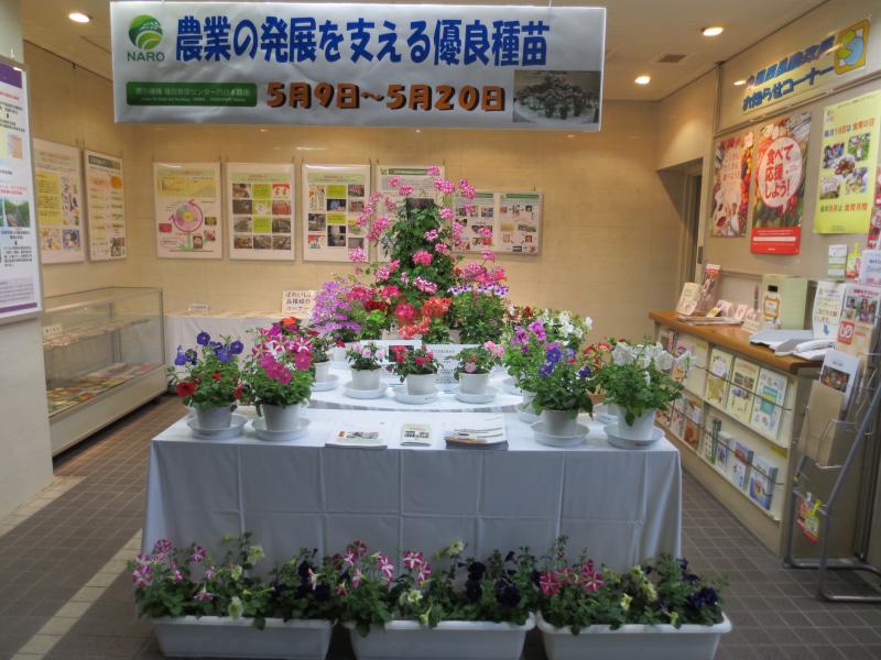 農林水産省 特別展示 中国四国農政局 本日より中国四国農政局の 消費者の部屋 にて 農業の発展を支える優良種苗 をテーマにした特別展示が行われています 詳細はこちらhttps T Co 9zyvxj50em 農林水産省 特別展示 中国四国農政局 本日より中国四国農政局の 消費者の部屋 にて 農業の発展を支える優良種苗 をテーマにした特別展示が行われています 詳細はこちらhttps T Co 9zyvxj50em