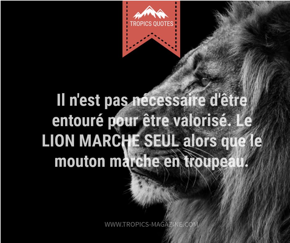 Tropics Magazine On Twitter Quote Il N Est Pas Necessaire D Etre Entoure Pour Etre Valorise Le Lion Marche Seul Le Mouton Marche En Troupeau