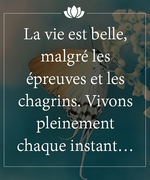 Citation De La Vie Instagram