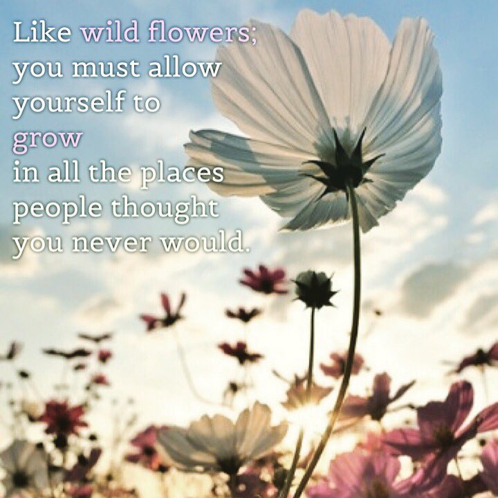 NDFBSA's tweet image. #fostercaremonth #NorthDakota #familybased #OvercomingObstacles #wildlfowers