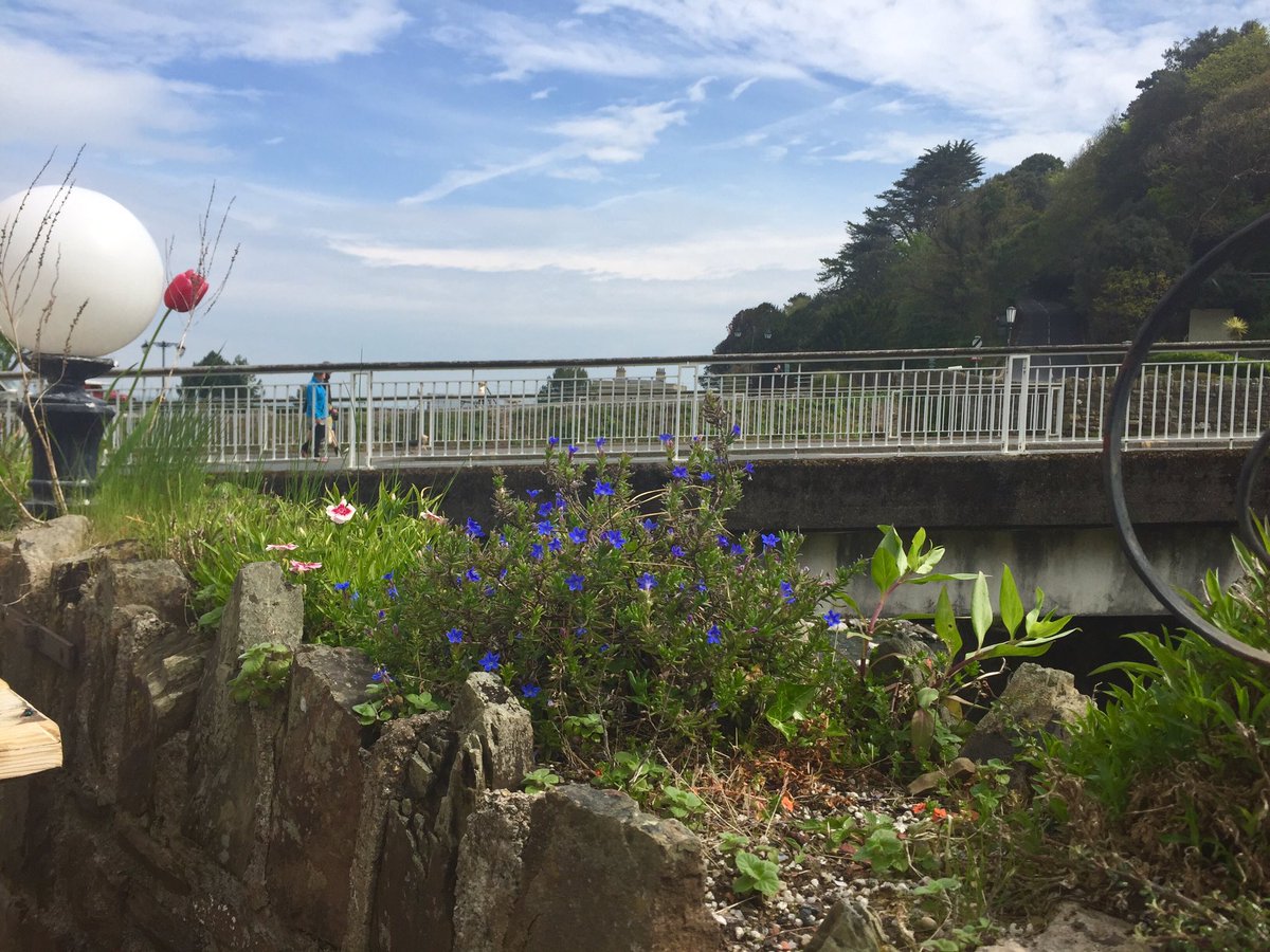 laurelandcedar's tweet photo. Making the most of the gorgeous weather and working outside again - my view today! #Lynmouth #coast #sunshine https://t.co/CwGz0Ub1MX