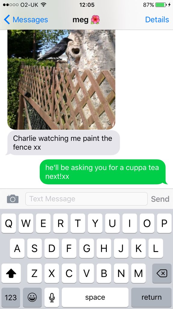 jimrieX's tweet photo. more on gran's wild pet crow.. #charliediaries #yesreally https://t.co/JbHeG2r2jU