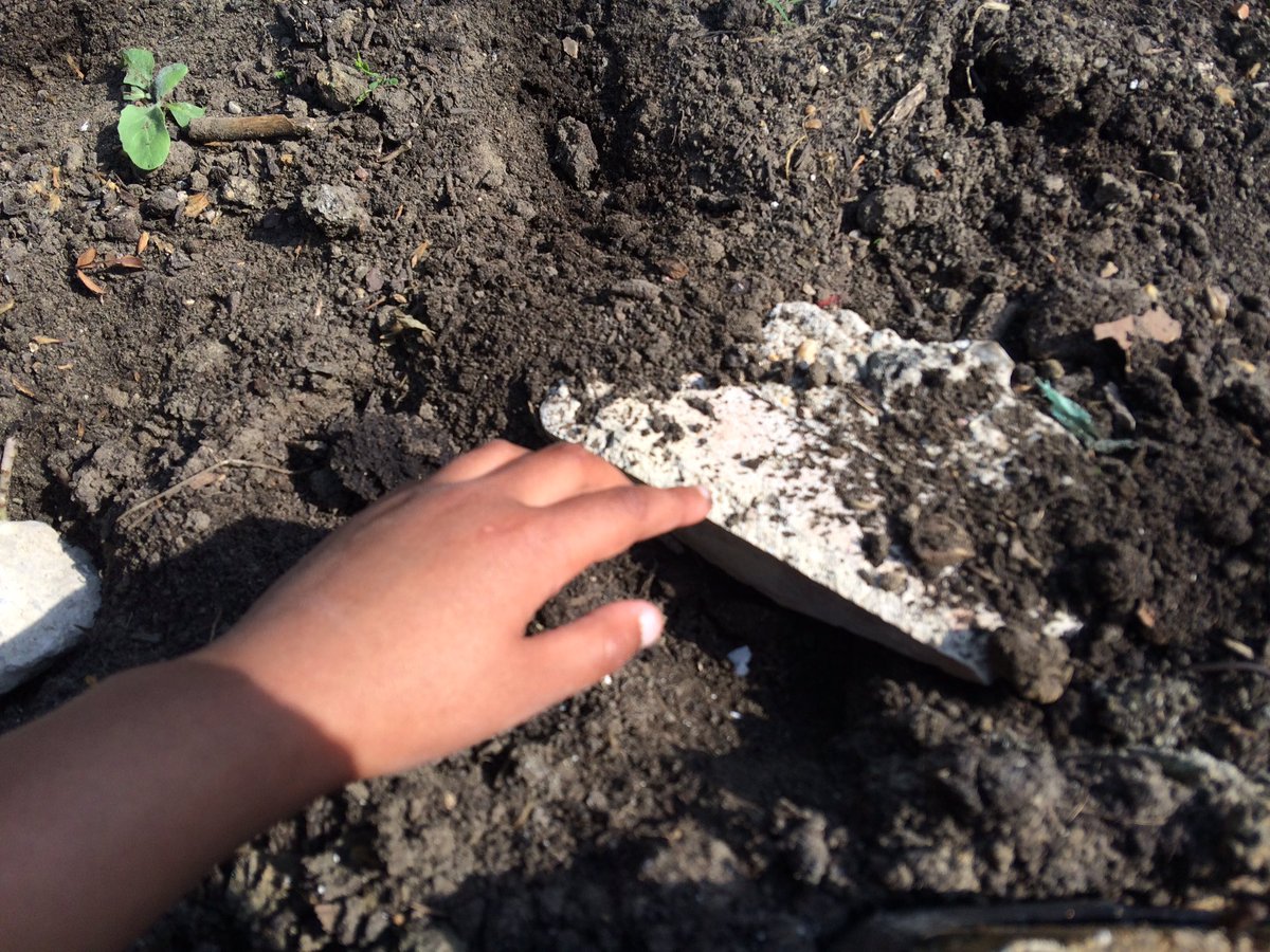 OasisFarmSE1's tweet photo. Looking at habitats with Y2 KS1 @OasisJohanna @OasisAcademies #learningonthefarm #waterloofarm https://t.co/4oRIVJox0H