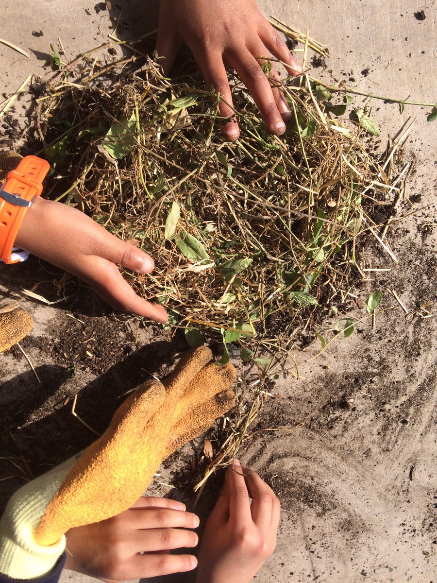 OasisFarmSE1's tweet photo. Looking at habitats with Y2 KS1 @OasisJohanna @OasisAcademies #learningonthefarm #waterloofarm https://t.co/4oRIVJox0H