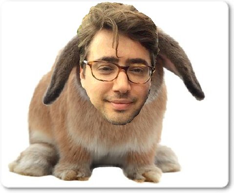 YYAnimals tweet picture