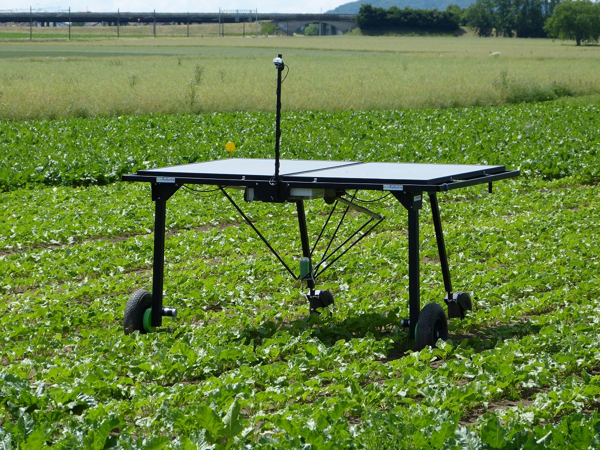 EcoRobotix's Autonomous weed killer robot