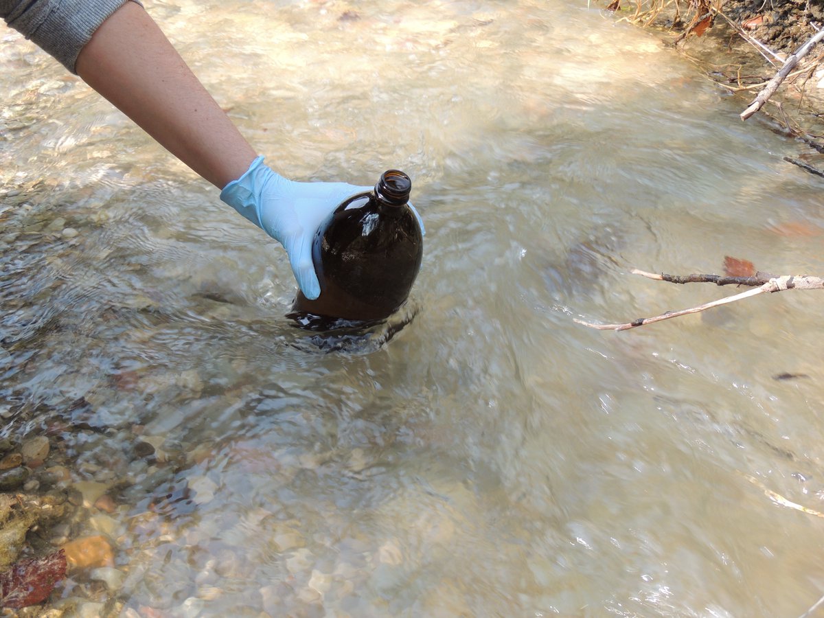 Greenpeace Italia tweet media