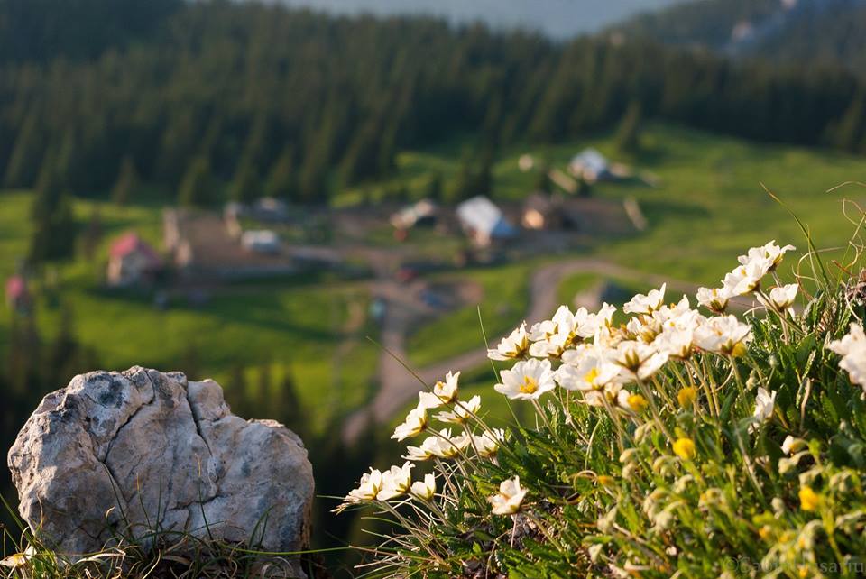 Romania Tourism (@romaniatourism) on Twitter photo US travel blogger <a href="/worldwideScott/">Scott Worldwide</a> briefly shares his #Romania favorites bit.ly/1Ty9k6O US travel blogger <a href="/worldwideScott/">Scott Worldwide</a> briefly shares his #Romania favorites bit.ly/1Ty9k6O