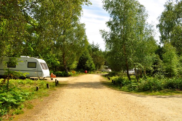 ForestryCamping's tweet photo. Fancy your own little nook in amongst the trees? #Setthorns is perfect for a spot of tranquillity. https://t.co/hGYNVVDOSM
