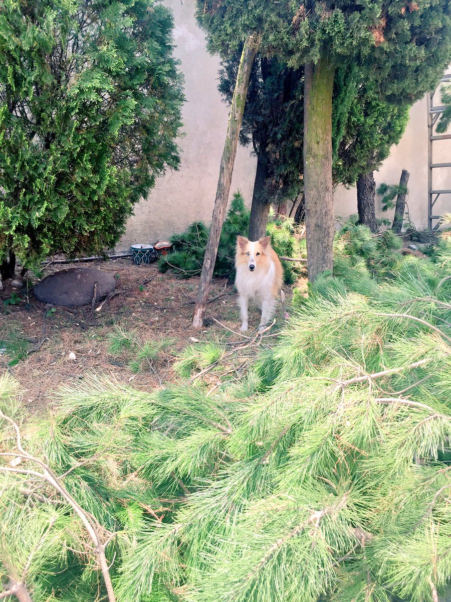 Kaipry's tweet photo. Welcome to the jungle 🌿 https://t.co/U7kXafUOzl