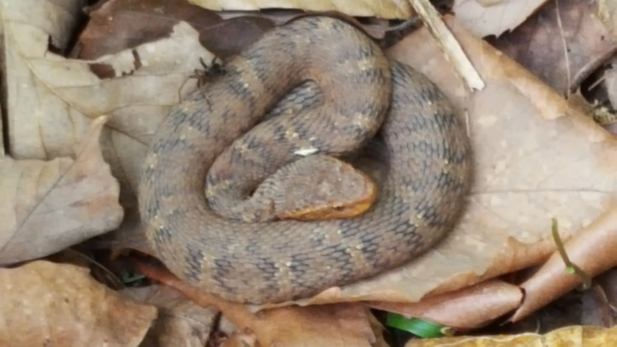 hsb015's tweet image. 