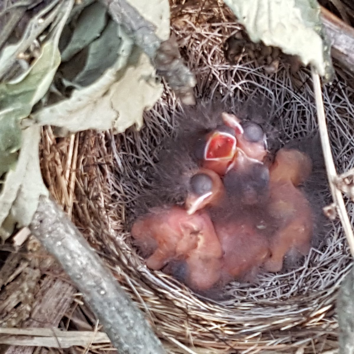 hsb015's tweet image. 