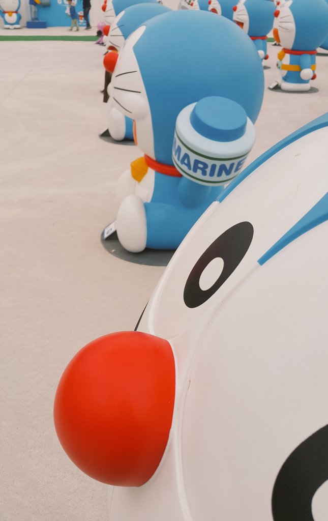 roroca77's tweet image. 몇명? 몇마리? ㅋㅋ 세어보질 못했다는