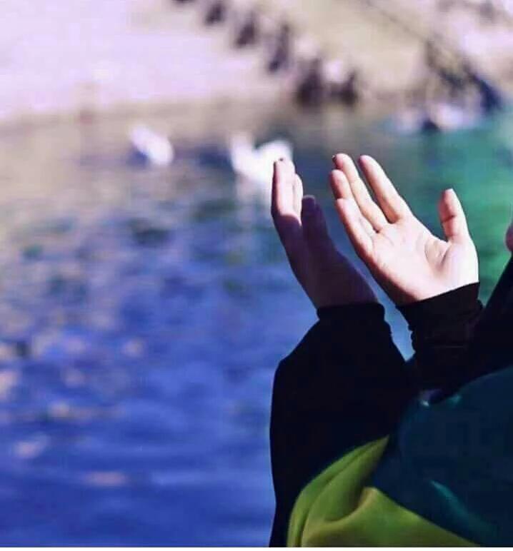 wdfayjc's tweet photo. @cavani04482770 وانتم بالمثل ..ربي يوفقكم لكل ما يحب ويرضى🍃🍀🍃🍀🍃 https://t.co/VjZnVDWMwn