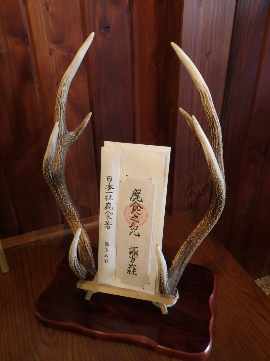 匕 キ イシ夕 On Twitter 鹿食免と鹿食箸 諏訪大社 鹿などの獣肉を食べてもケガレやサワリがないとされた護符の一種で 諏訪大社上社本宮で頒布しているものです 神社 諏訪 諏訪大社 鹿食免 鹿食箸 護符 ジビエ