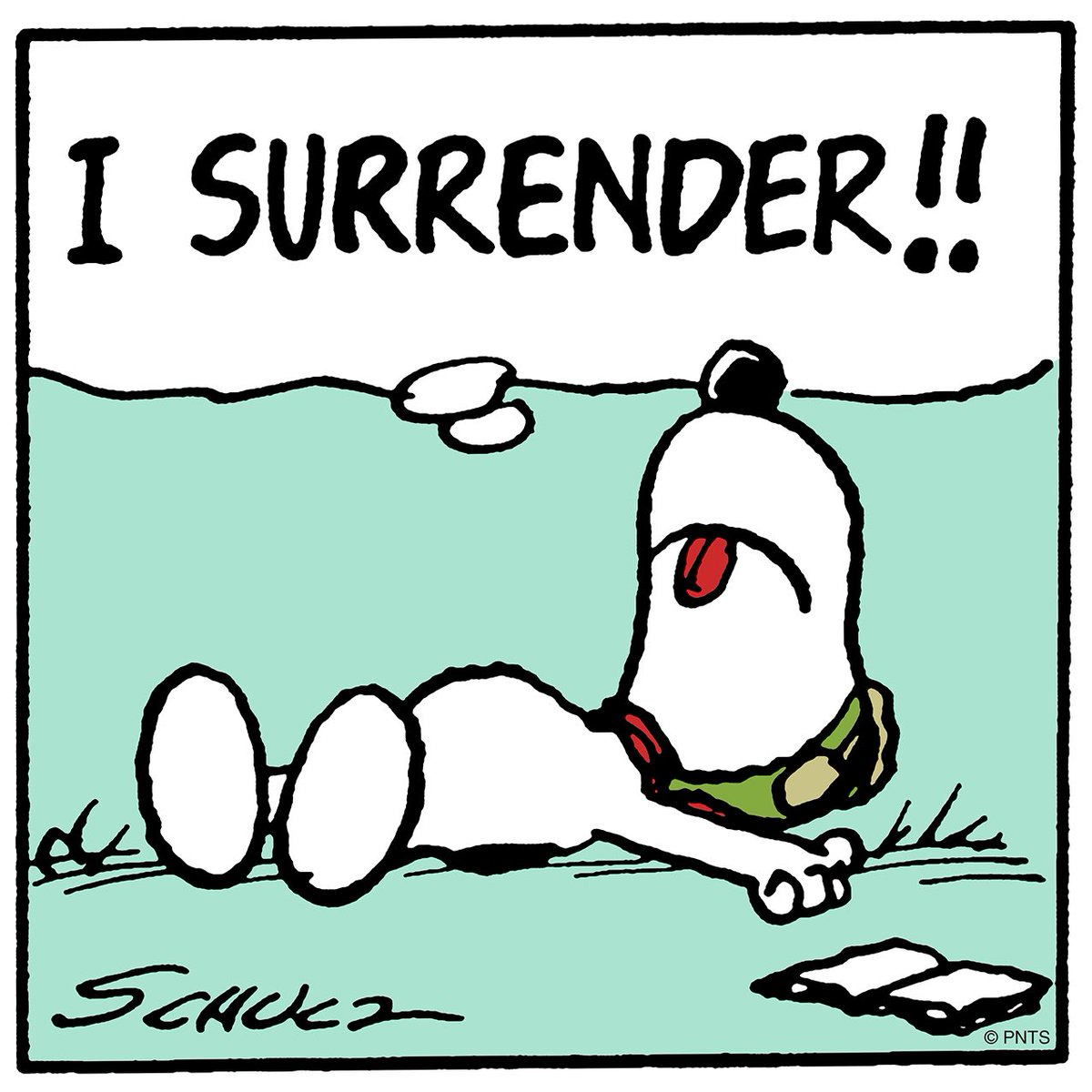 Snoopy's tweet photo. Monday morning... https://t.co/JpPZ8BnHkv