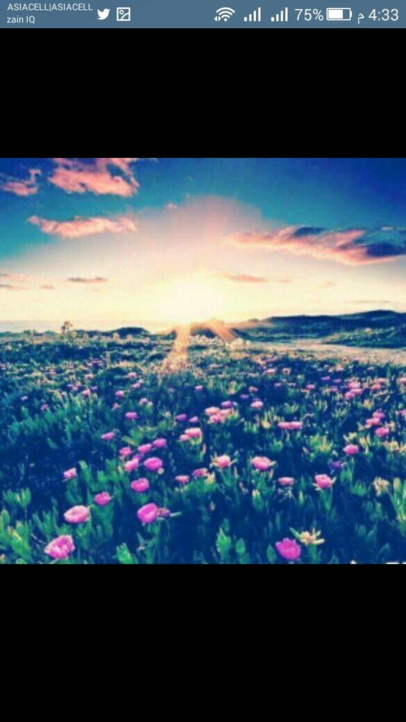 sjadahmeed's tweet photo. _ #أجمل لحظة … 😌
_ هي أن يتحقق في #النهاية … 💕
_ ما #صبرت لأجلة … 🙏🏻🌟 https://t.co/KYm4VPUw3K
