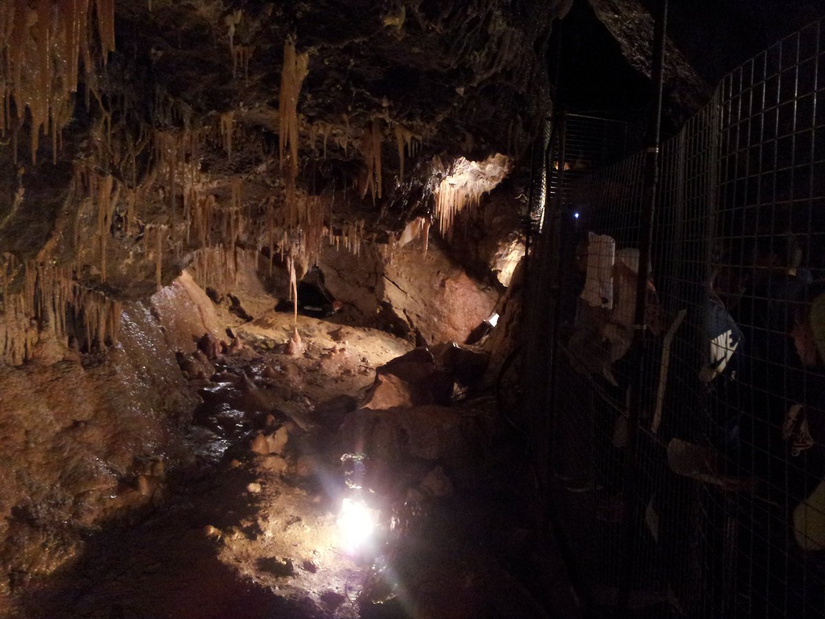 WFS Geography Dept tweet media