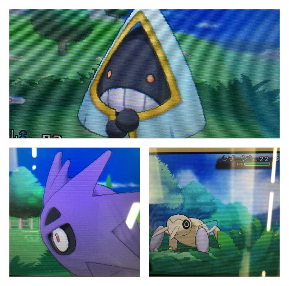 そう イッシュ地方色粘り 進化すると悪 ゴーストになるポケモン集めました 寒がり勢としてはユキワラシ見てると心が痛む W 笑 T Co 9gxysw73mg Twitter