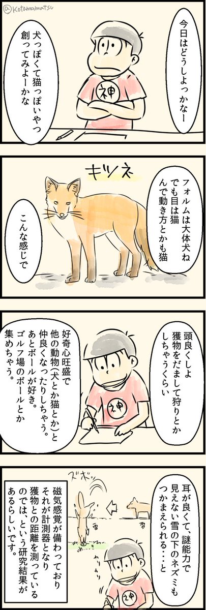 動物雑学おそ松神、キツネ 