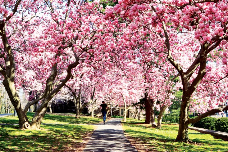 PLTTweets tweet picture