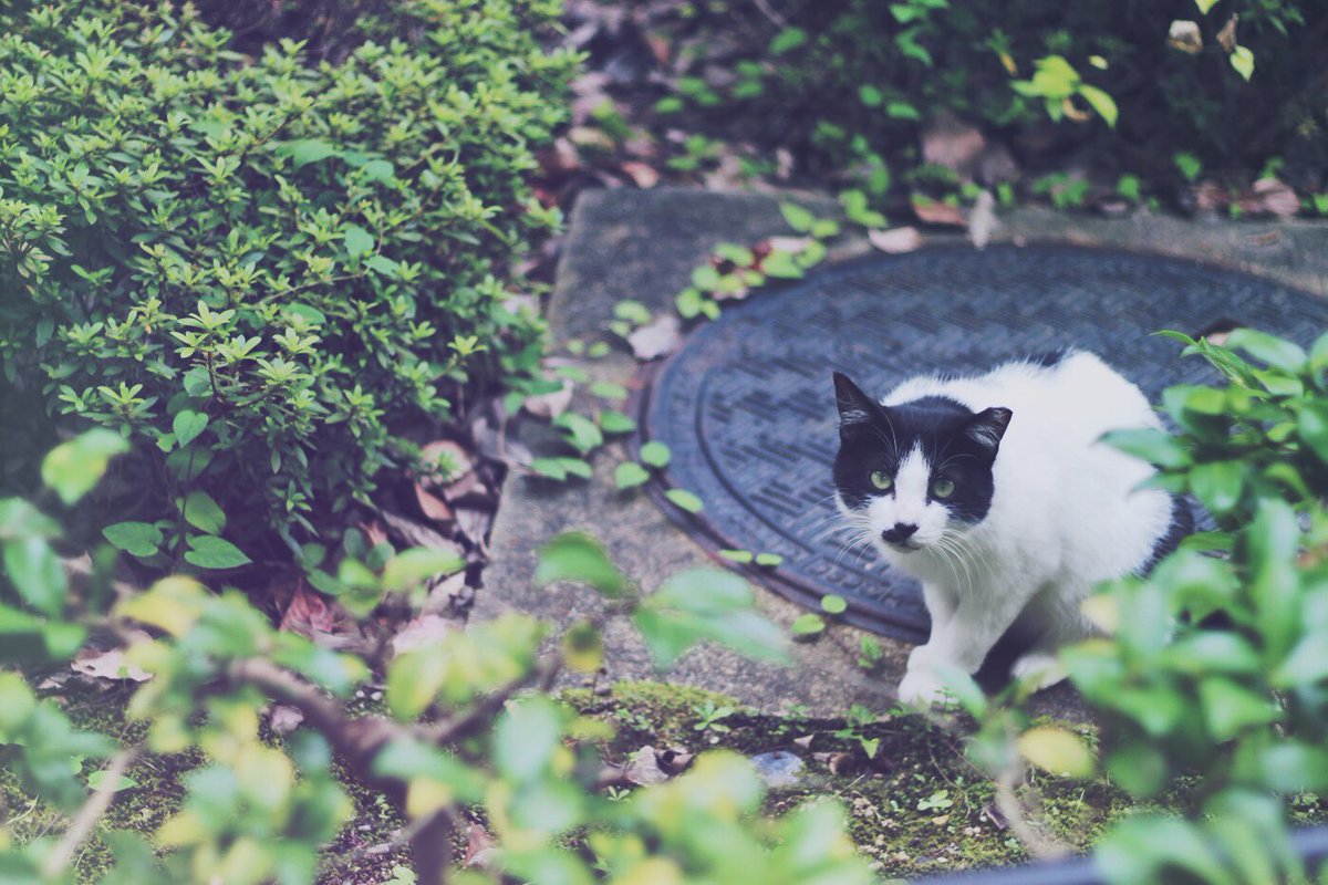 次回ミーティングは12日です。
見学大歓迎ですので希望される方はご連絡くださいヽ(бωб)ノ