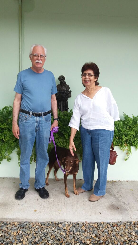 Lara se va su nuevo hogar, a demostrar su amor incondicional y ser una compañera de vida! Completando Familias!