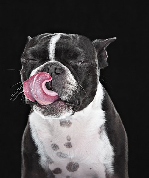 Lip licking and tongue flicking: What does it all mean? buff.ly/1rCPXTO