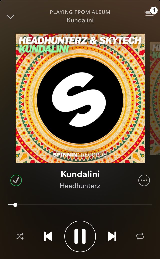 Daniel Molnar Headhunterz Can T W8 To Hear Your Music At Electricloveaut In July Celebratemusic Kundalini