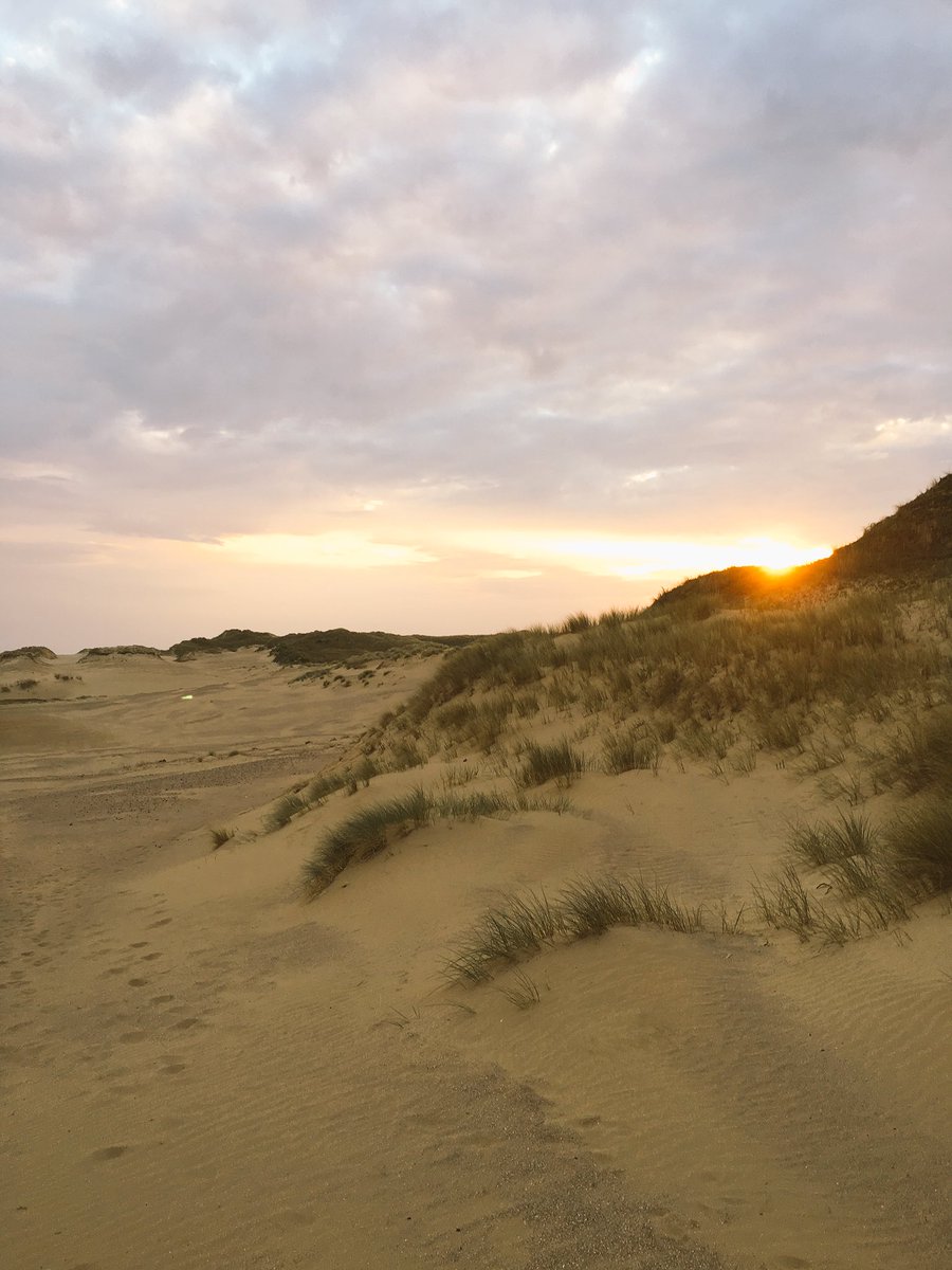 ZoPezzack's tweet photo. Dunes at Sunset https://t.co/0XckfjSZLV