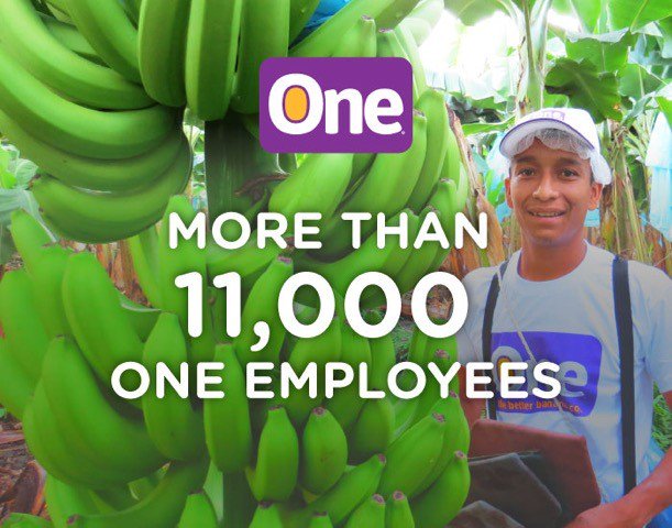 ONEBananas's tweet image. #Didyouknow 11,000 ONE employees have been trained to practice environmentally friendly farming. #ONEDifference