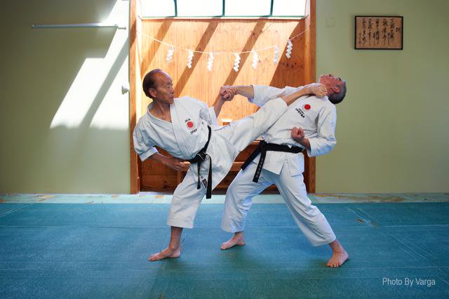 Furinkazan Dojo tweet media