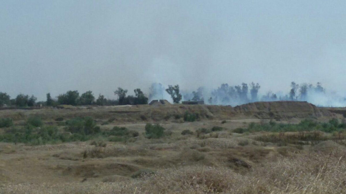 AliraqMonitor's tweet photo. ميليشيات الحشد تحرق منازل وبساتين تتبع #سنة_العراق في قرية نوفل شمال شرق المقدادية
#أنقذوا_ديالى https://t.co/M298J7BZup