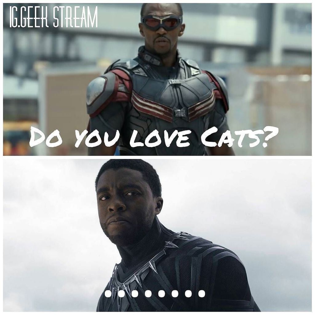 TheEpicShowtime's tweet photo. Falcon was lit Via @geekstream #falcon #blackpanther #allthingsdcmarvel by allthingsdcmarvel x #epicshowtime https://t.co/CpbluN5V5Z