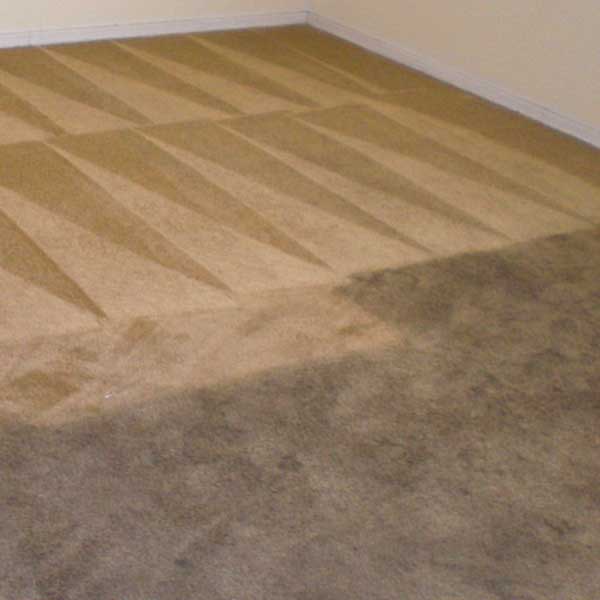 Carpet Clean Tucson (CleanTucson) Twitter