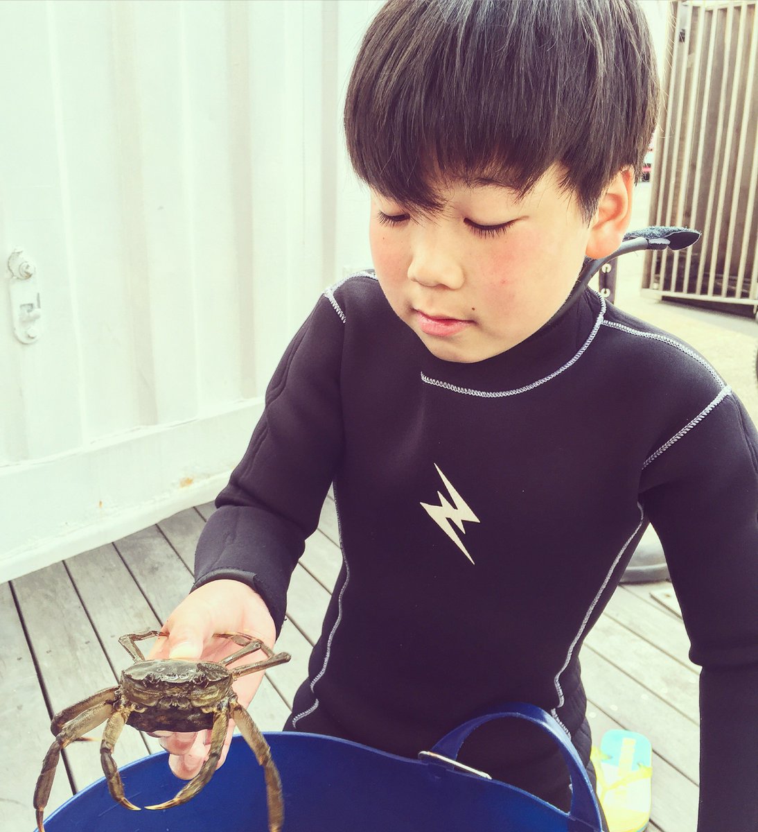 カニ捕り カニ捕り