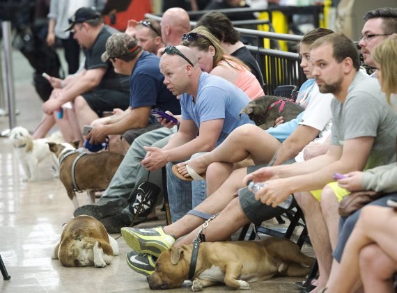 3MillionDogs's tweet photo. Fort McMurray pet owners are desperate for help - and people are stepping up! https://t.co/oodwdNhImk #ymm #ymmfire https://t.co/fAzUD3iv5F