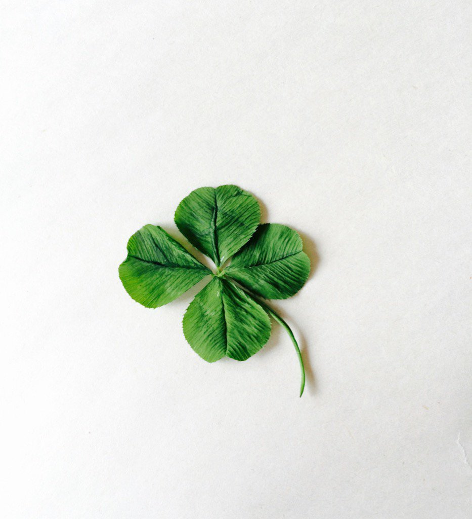 espiekermann's tweet photo. Apparently, the previous photo didn't show it properly. I did find a 4-leaf clover. https://t.co/NFgwv8aGnC