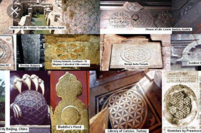 dimention_5's tweet photo. The flower of life can be found in Europe, North America, Africa and Asia. These sites are thousand of years old.🐸☕️ https://t.co/lSjolGaFlv