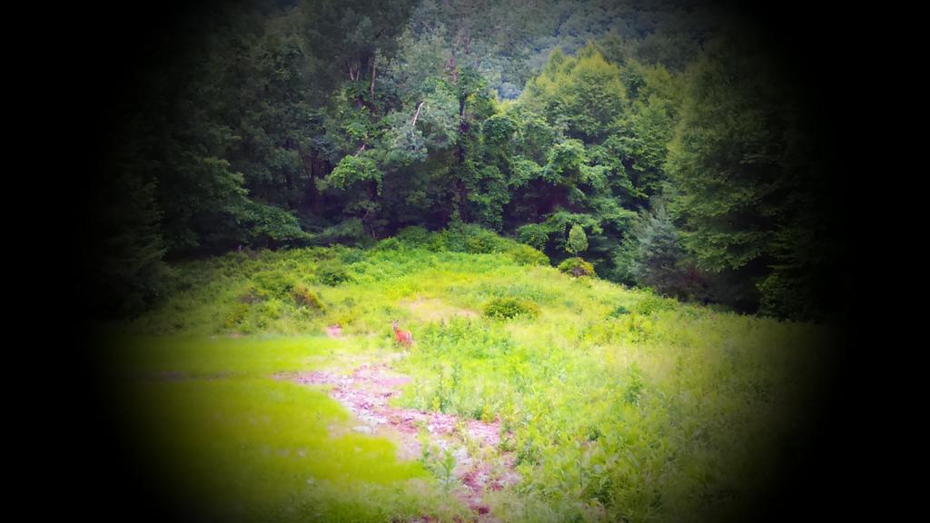 BJBailey16's tweet photo. CAUTION PA MTs seem smaller from out the window! https://t.co/v9XY2exbvk