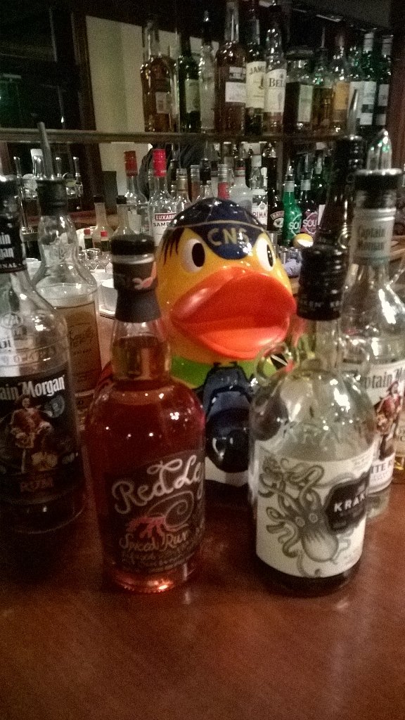 sarabynature's tweet photo. @SelectDuck @JayPegDuck @PaulMacro @NuthatchNicky ahoy me hearty lol 😁 https://t.co/3yPgOmtJaf