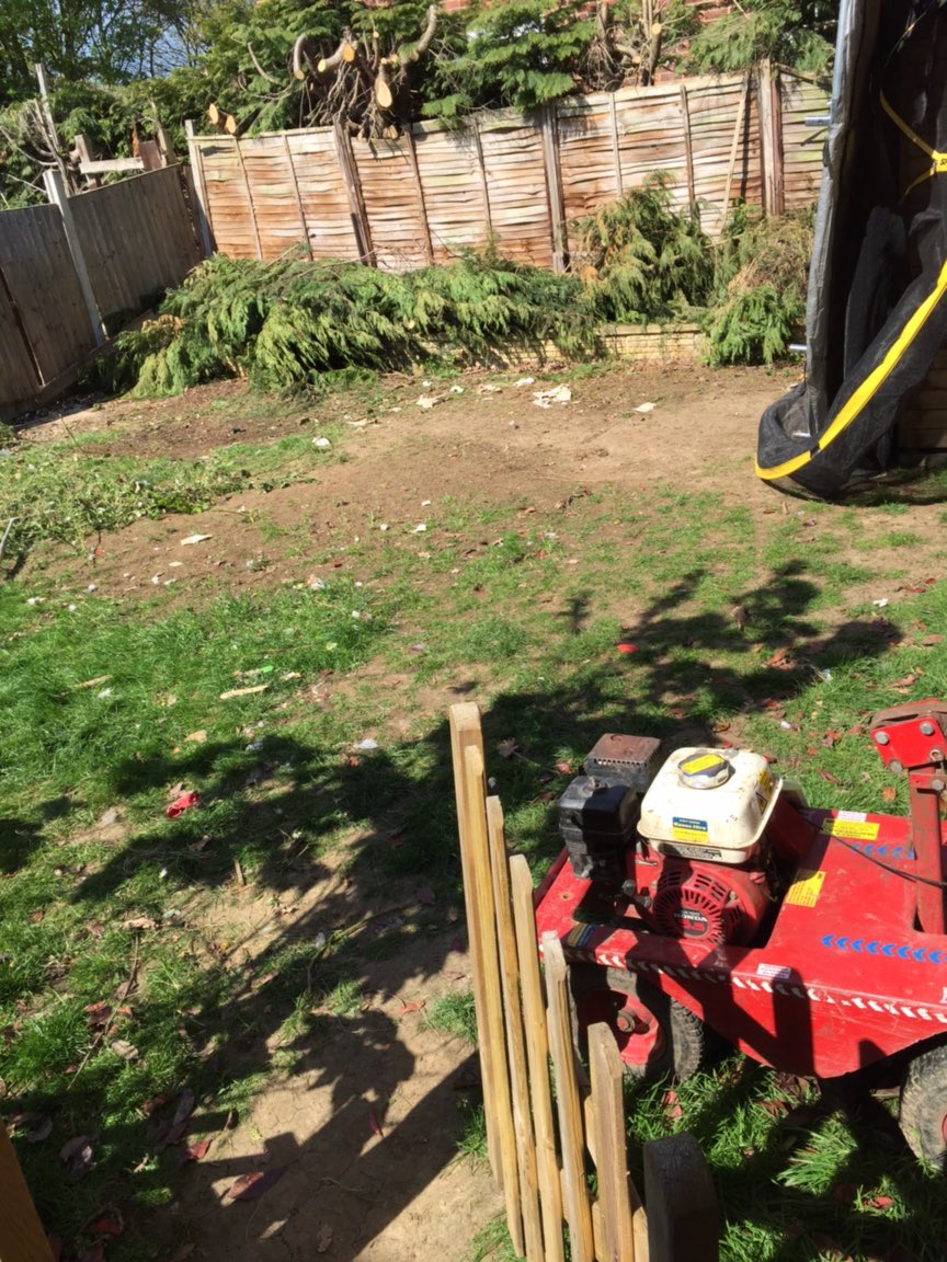 Traditionalground tweet media